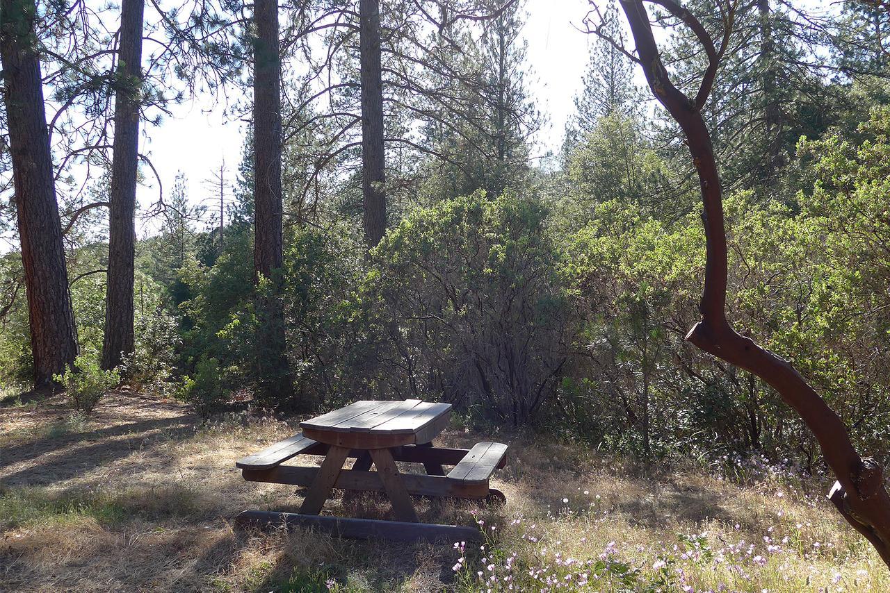 Far Meadow Oakhurst